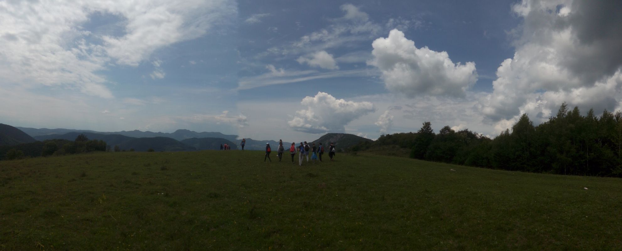 Bacaia Drumul vietii