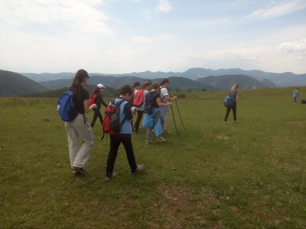 Bacaia Drumul vietii