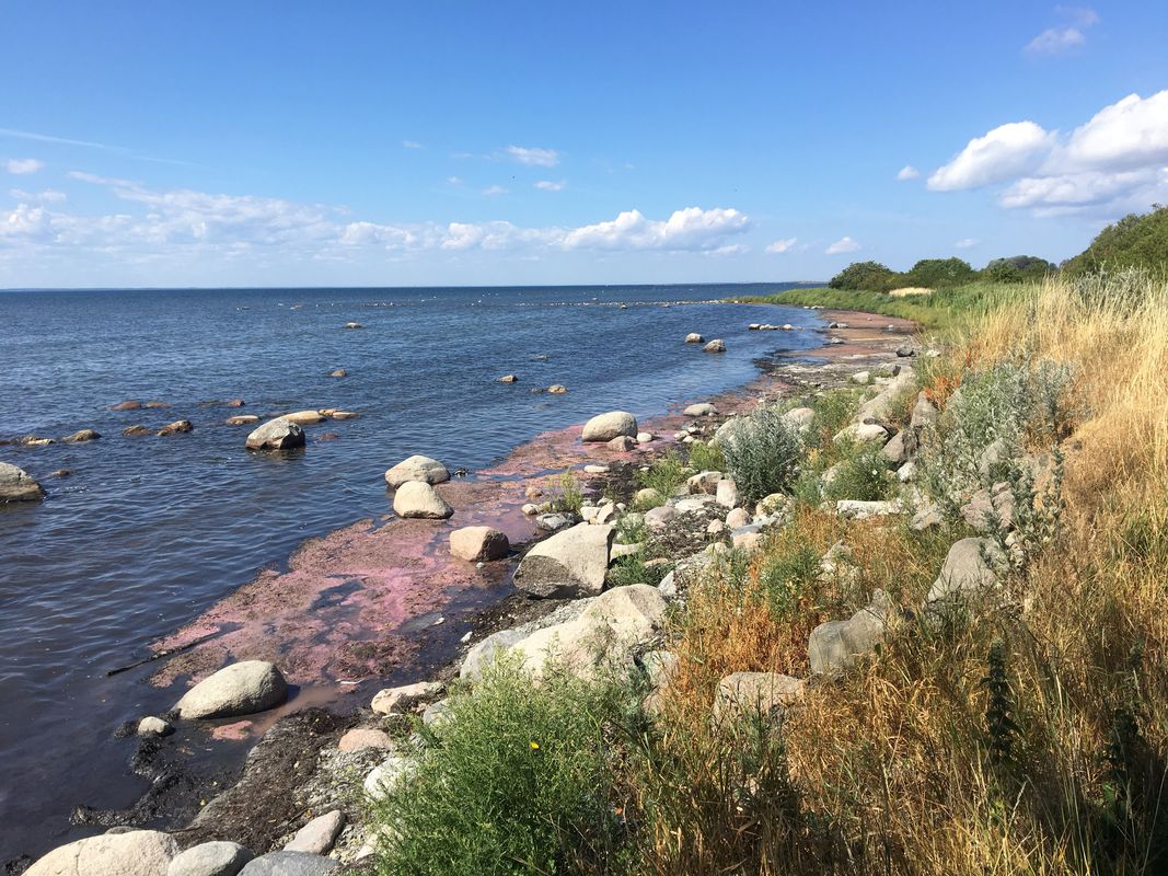 Öland’s