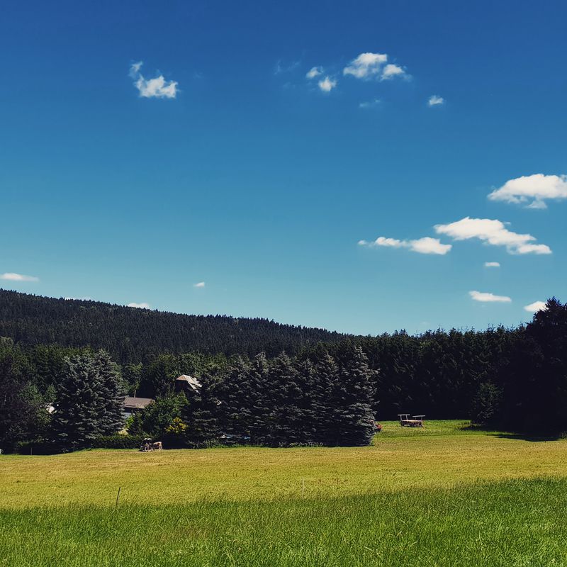 Německo 2018: Skalná - Zwickau (Den 1.)
