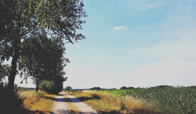 Foto 1 de la ruta de Bikemap "Německo 2018: Leipzig - Lutherstadt Wittenberg (Den 3.)"