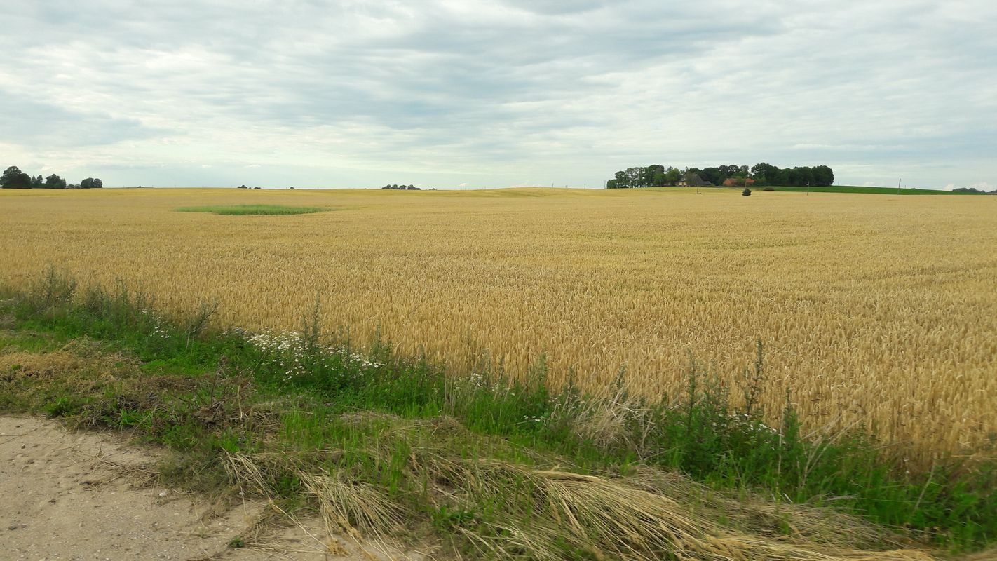 Marijampolė, Patašinė, Bukonys, palios, Daukšiai, užVarnupiai, Gyviškiai, Padovinys, Vaitiškės