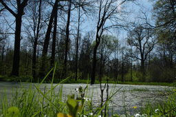 Destacado 4 en la ruta de Bikemap "Park Krajobrazowy Doliny Bystrzycy + Pałac Krobielowice" Destacado 4 en la ruta de Bikemap "Park Krajobrazowy Doliny Bystrzycy + Pałac Krobielowice"