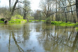 Destacado 3 en la ruta de Bikemap "Park Krajobrazowy Doliny Bystrzycy + Pałac Krobielowice" Destacado 3 en la ruta de Bikemap "Park Krajobrazowy Doliny Bystrzycy + Pałac Krobielowice"