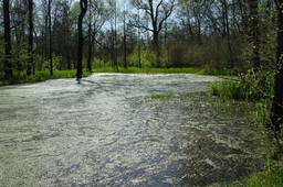 Destacado 2 en la ruta de Bikemap "Park Krajobrazowy Doliny Bystrzycy + Pałac Krobielowice" Destacado 2 en la ruta de Bikemap "Park Krajobrazowy Doliny Bystrzycy + Pałac Krobielowice"