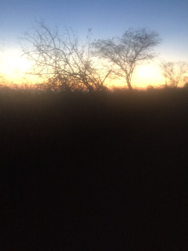 Terça-Feira sapecado