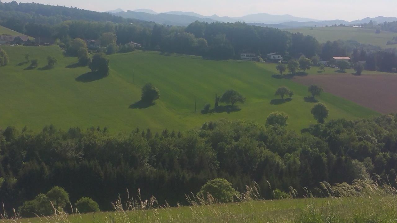 Hausrunde 3