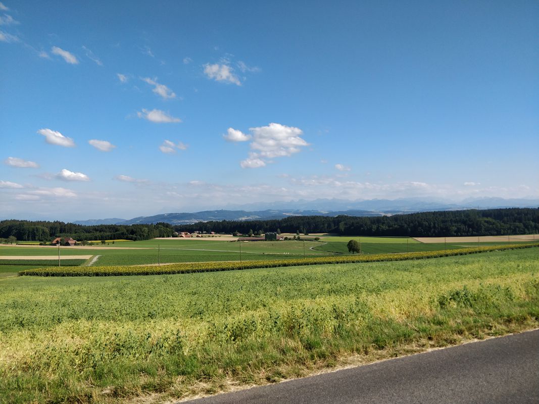 Zollikofen Schüpberg Meikirch Kirchlindach