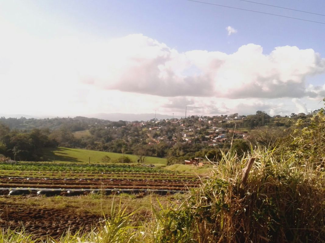 Lomba Grande - Campo Bom