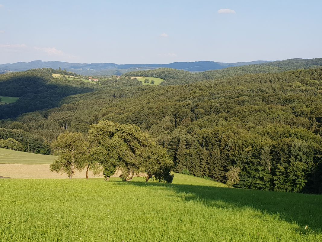 Hausrunde 2