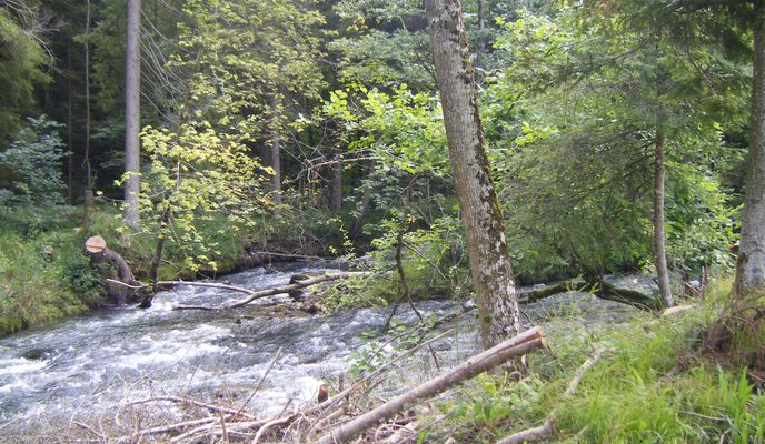 Photo 2 de l’itinéraire Bikemap « Neuhaus-Wormsmuhl-Irschenberg-zurück »