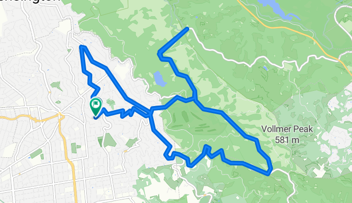 Grizzly Peak/Inspiration Point loop