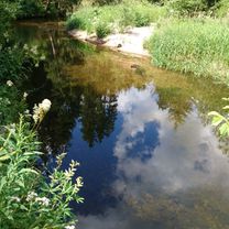 Schluchsee - St. Blasien - Menzenschwand - Feldberg
