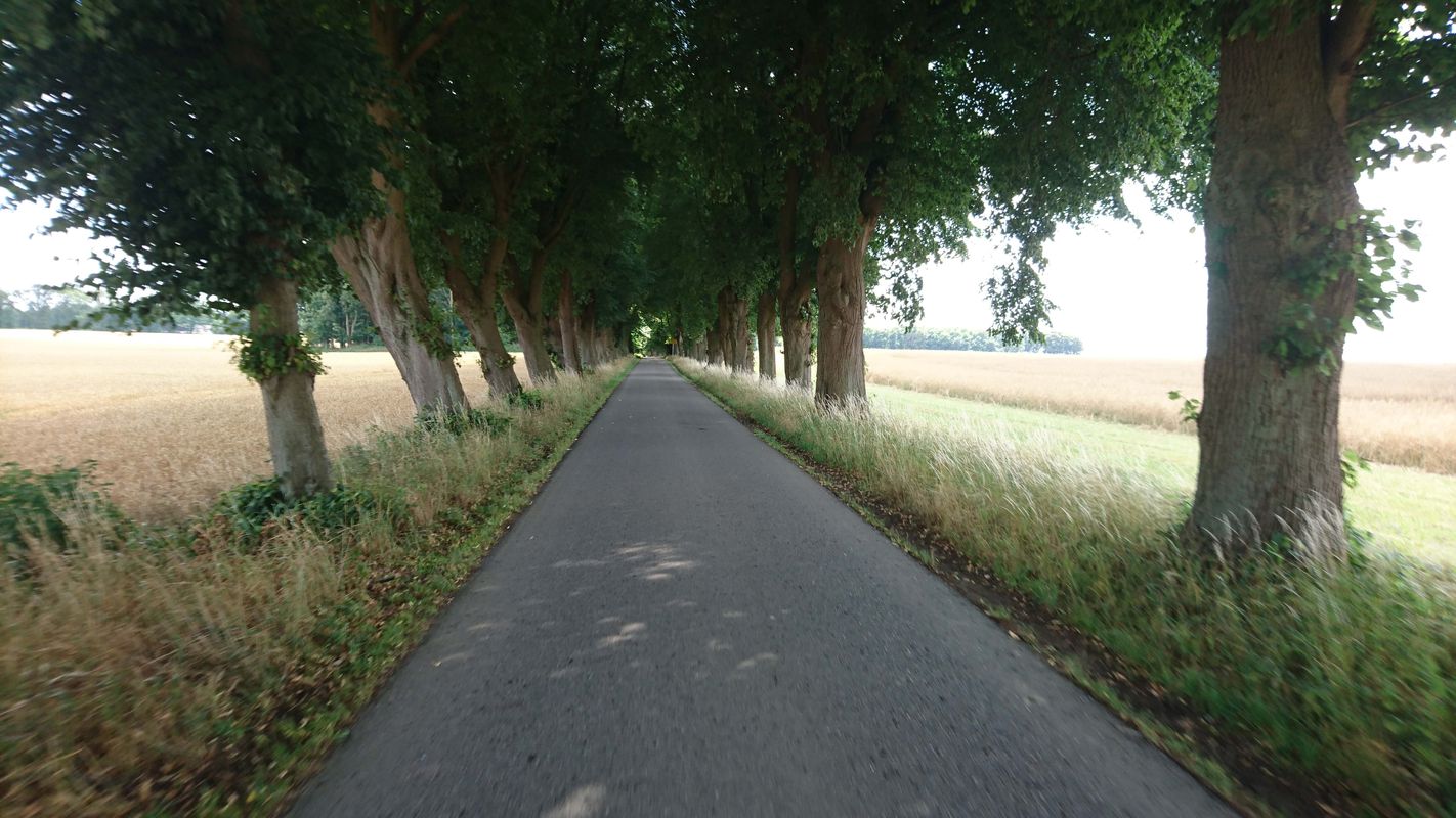 Mölln/Waldstadt - Berkenthin -Ratzeburg - Sterley - Mölln/Waldstadt