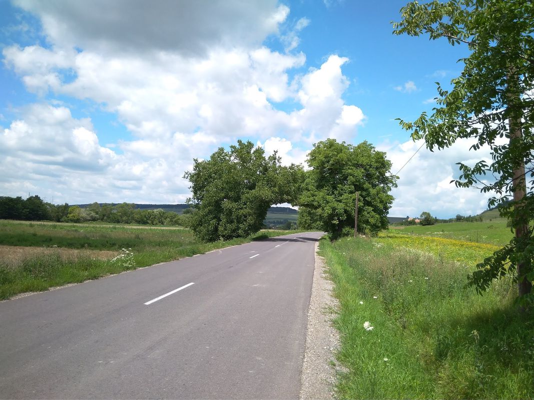MsVásárhely-Régen(15 July 2018)