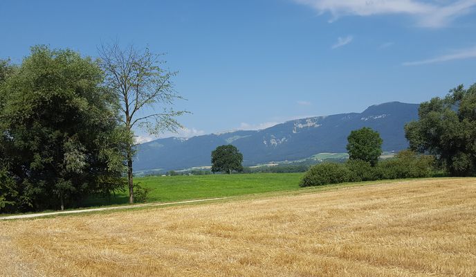 Photo 1 of the Bikemap route "Emme-Aarefahrt"
