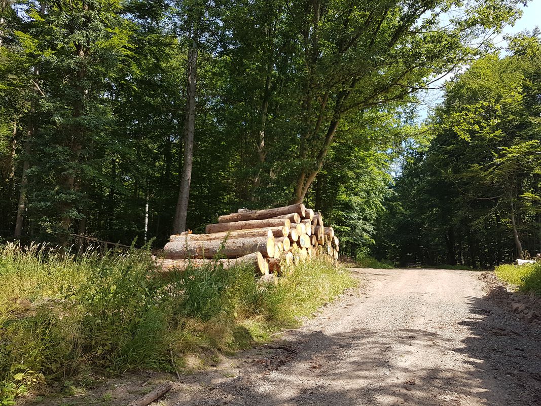 Vorbereitung für den Brocken