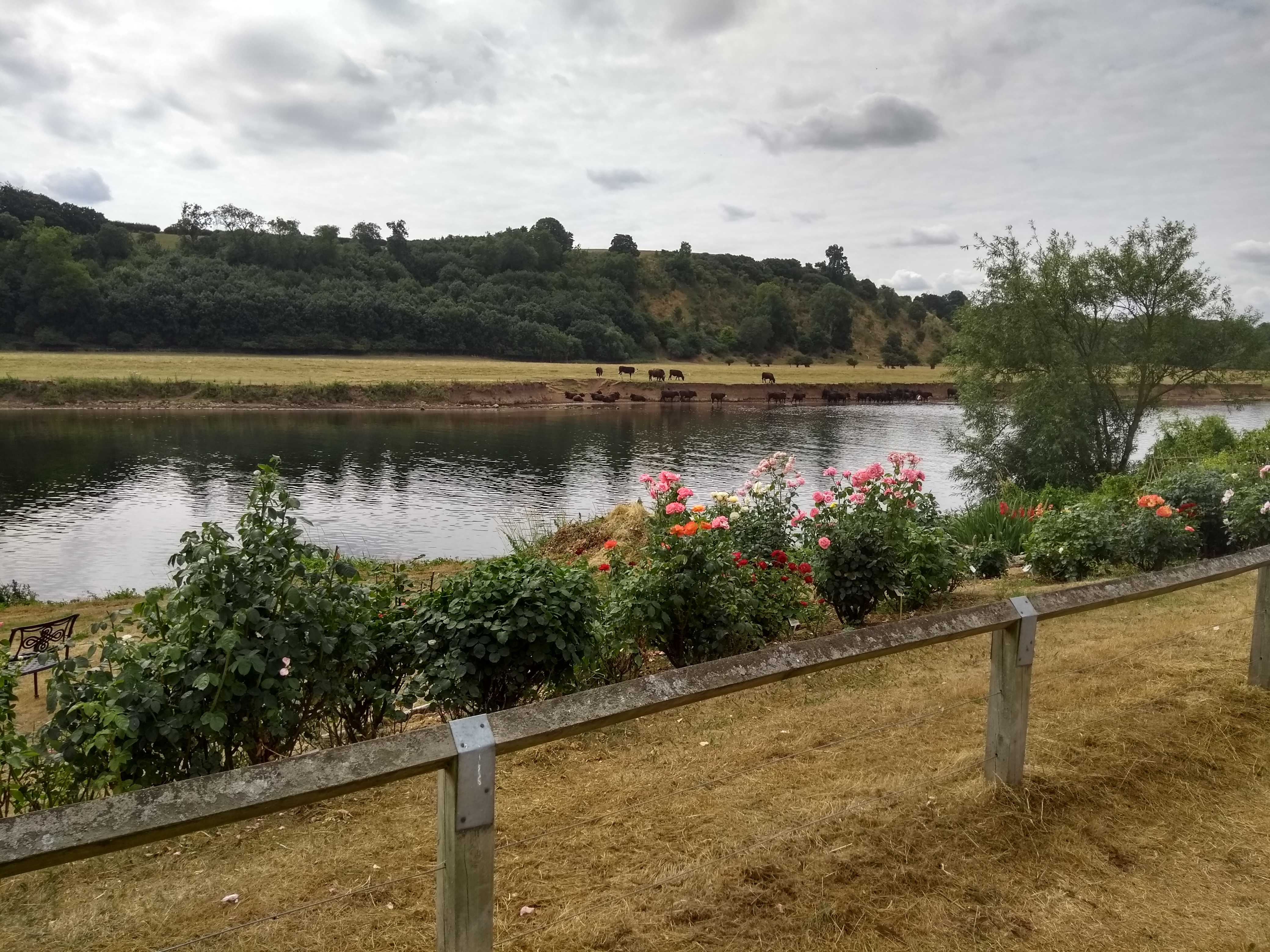 George lane/Gunthorpe