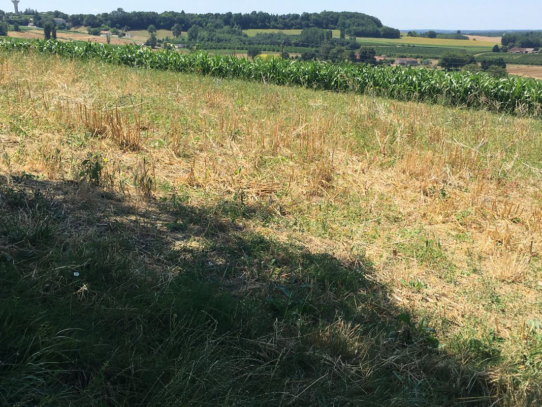 Snail-Like Jeudi Track In Saint-Astier