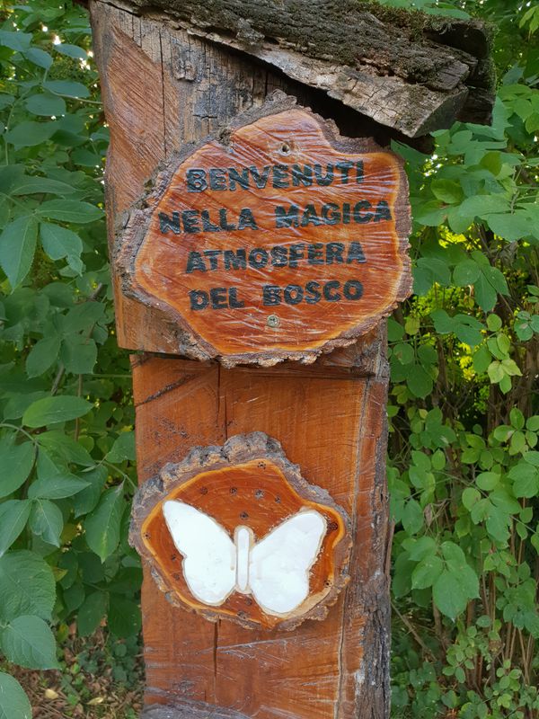 nerviano