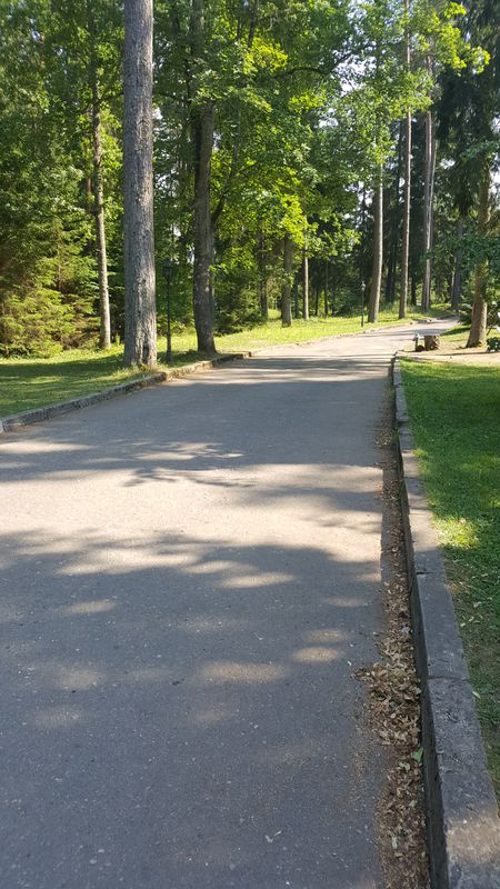 vieglgruuta paleena pabraukaasana VALGUMA PASAULES DABAS GLEZNAS