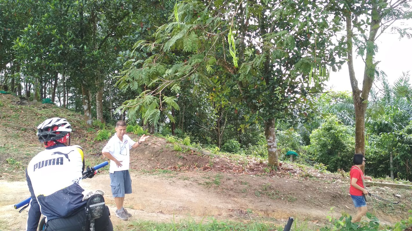 suling hill