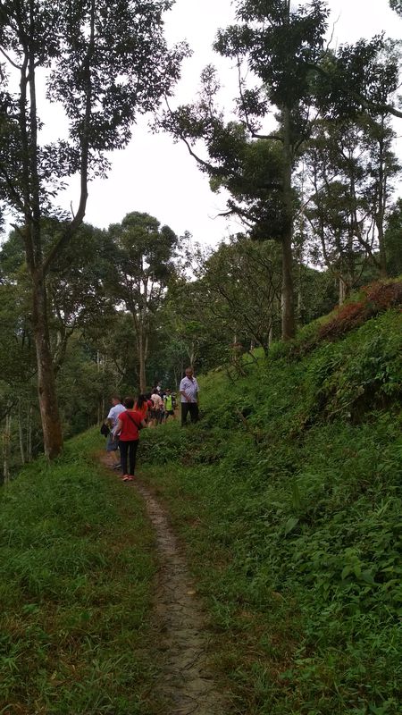 suling hill
