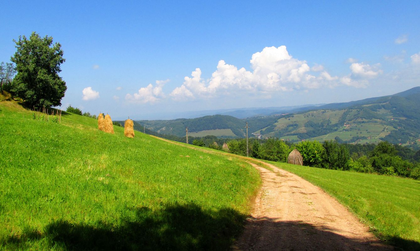 Around Negreni
