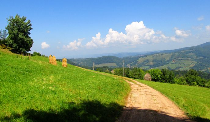 Photo 1 of the Bikemap route "Around Negreni"