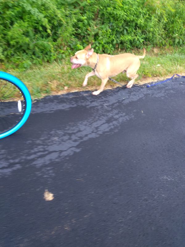 inland trail in Fremont​