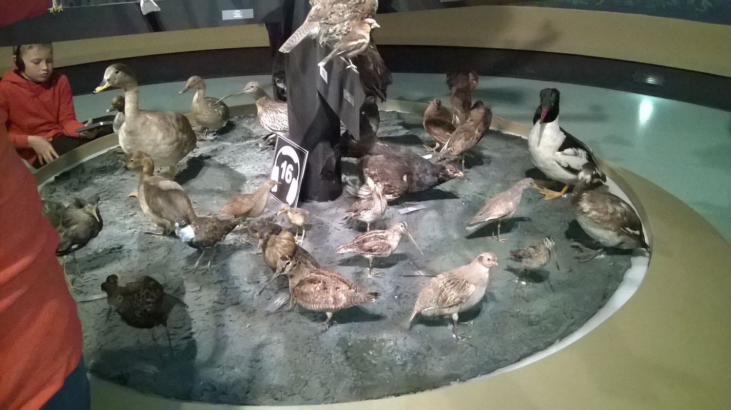 Hajnówka Białowieża Hajnówka