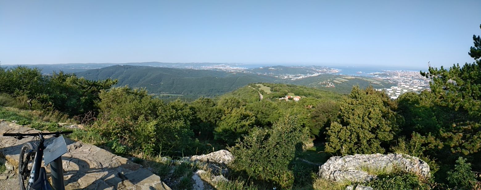 kolomban socerb (po trailu navzgor)