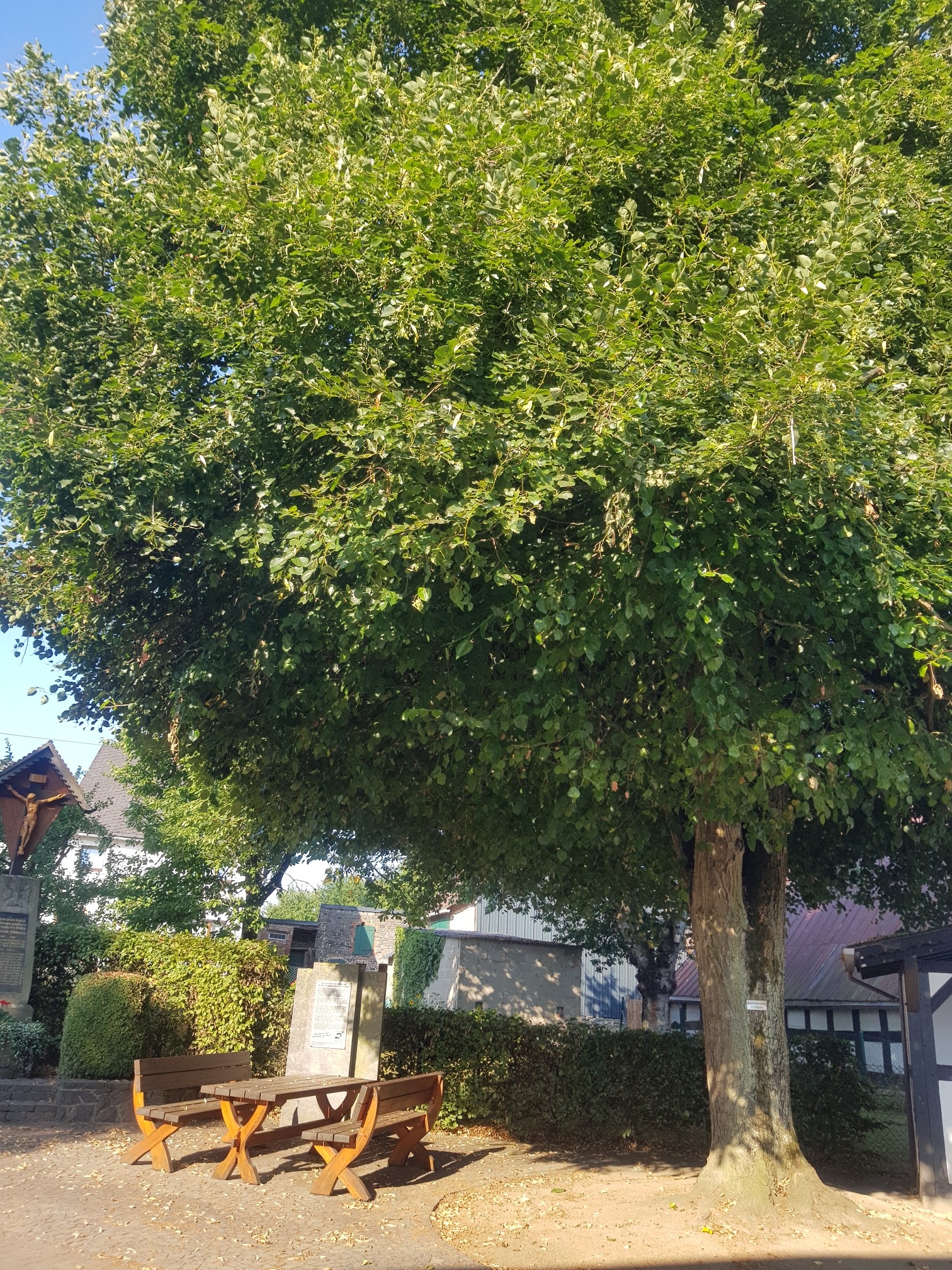 Rundtour Molsberg-Montabaur-Wirzenborn-Niedererbach-Molsberc