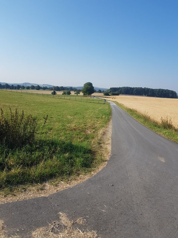 Rundtour Molsberg-Montabaur-Wirzenborn-Niedererbach-Molsberc