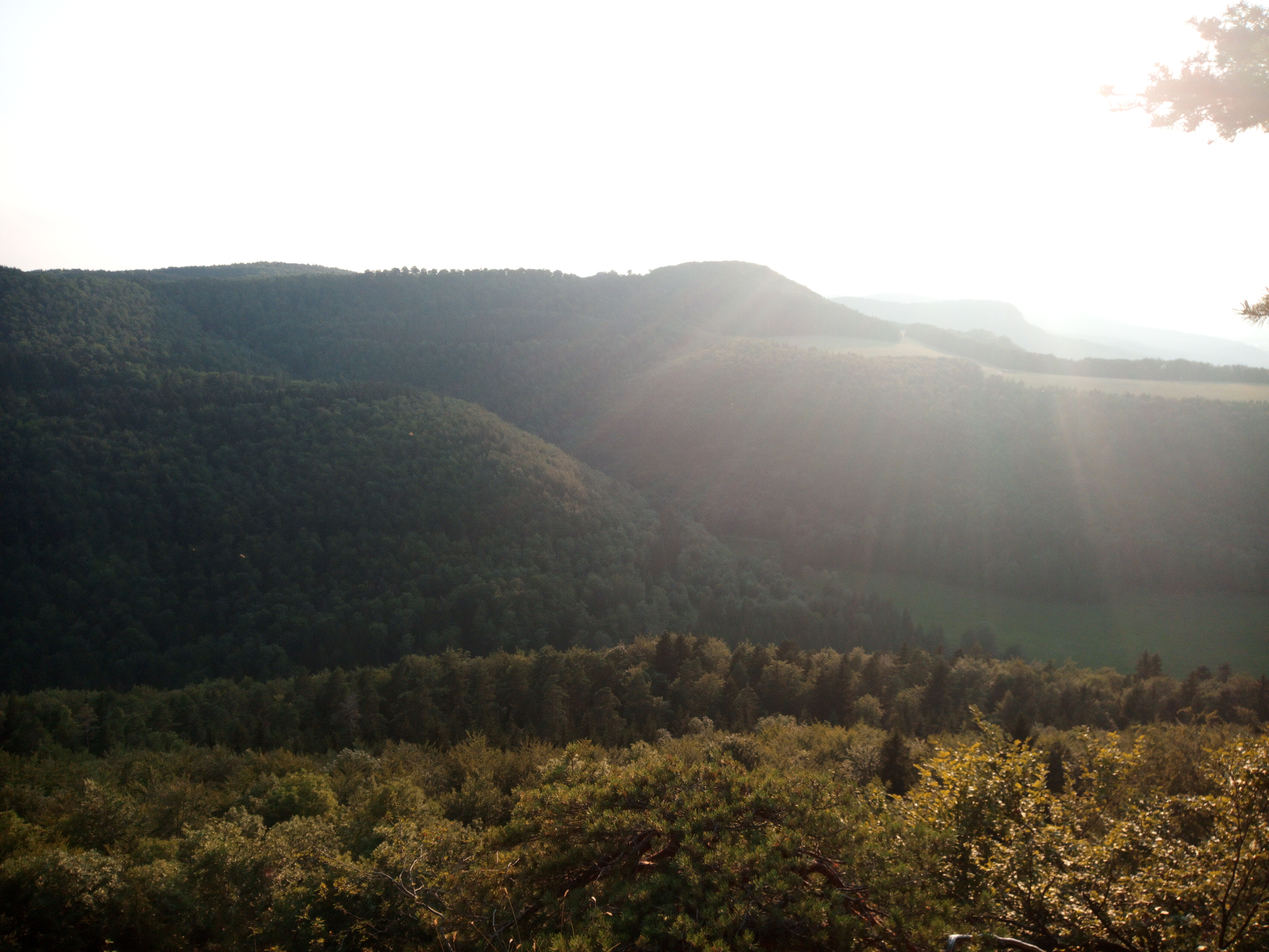 Torfelsen