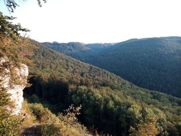 Foto 2: Tihomir Kuzma