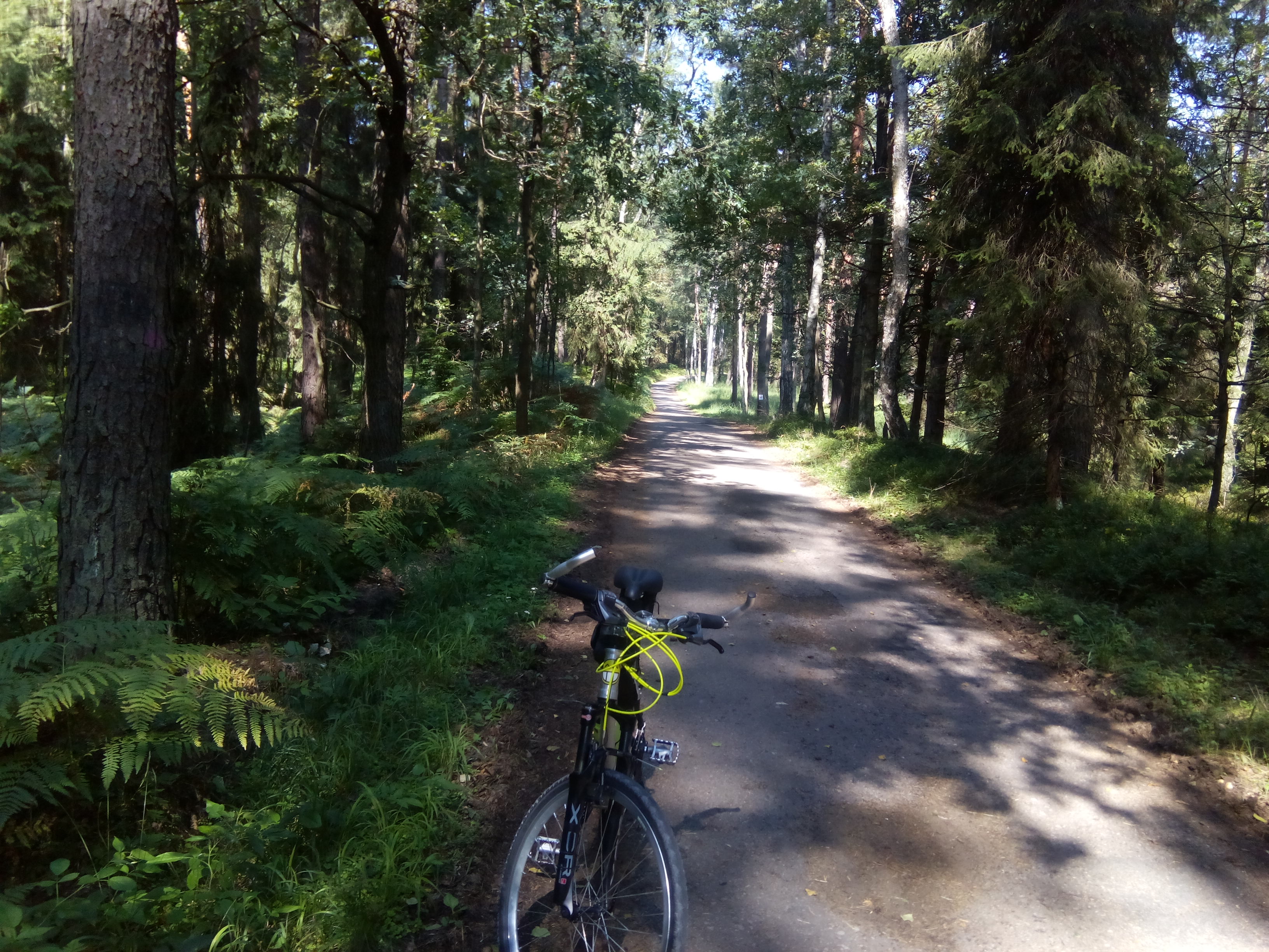 Highlight 4 along the Bikemap route "2018/16 Zamek Tenczyn"