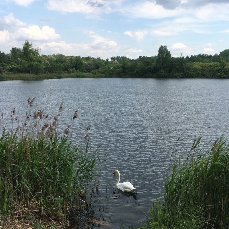 🚴🏼‍♂️ Katowice ➡️ Świerklaniec / przez Żabie Doły 🏆