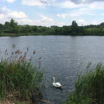 🚴🏼‍♂️ Katowice ➡️ Świerklaniec / przez Żabie Doły 🏆