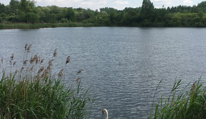 Zdjęcie 1 trasy Bikemap „🚴🏼♂️ Katowice ➡️ Świerklaniec / przez Żabie Doły 🏆” Zdjęcie 1 trasy Bikemap „🚴🏼♂️ Katowice ➡️ Świerklaniec / przez Żabie Doły 🏆”