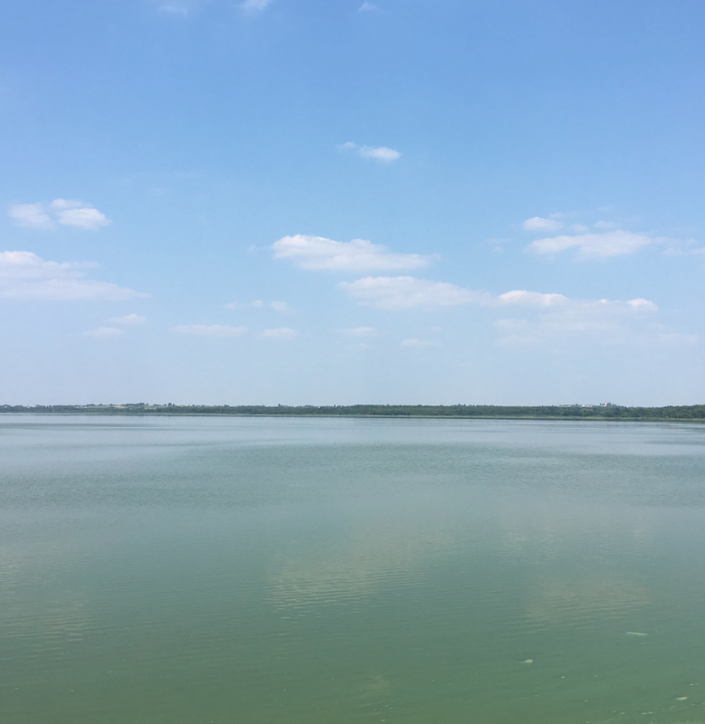 🚴🏼‍♂️ Katowice ➡️ Świerklaniec / przez Żabie Doły 🏆