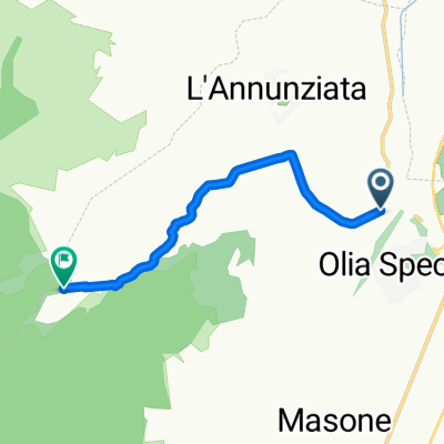 Olia Speciosa 7 fratelli