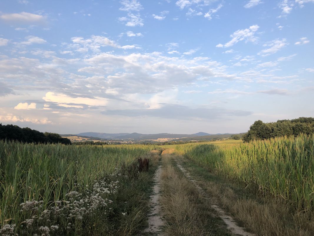 Eichenzell Rothemann