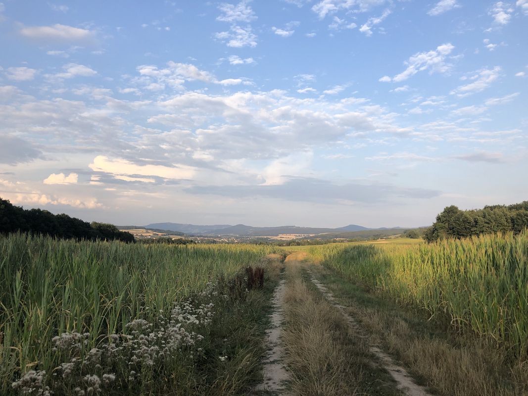 Eichenzell Rothemann