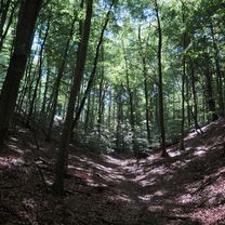 Foto 8 der Bikemap-Route "Schwerin-Rundtour: Nord-West-Umland"