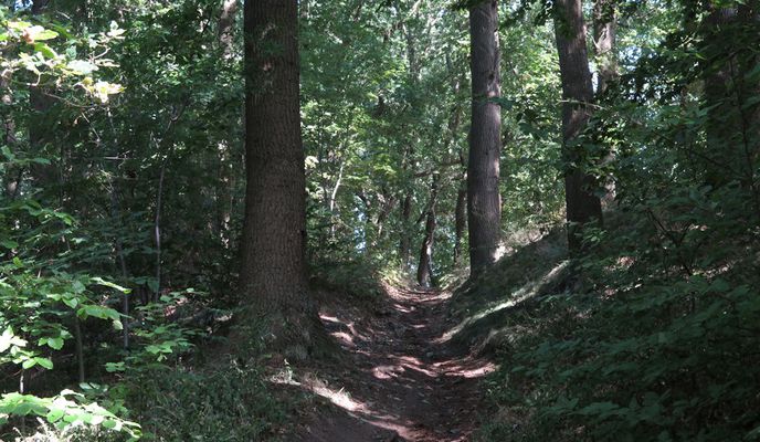Foto 1 der Bikemap-Route "Schwerin-Rundtour: Nord-West-Umland"