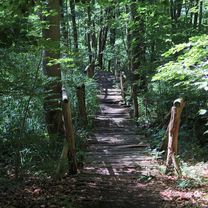 Foto 7 der Bikemap-Route "Schwerin-Rundtour: Nord-West-Umland"