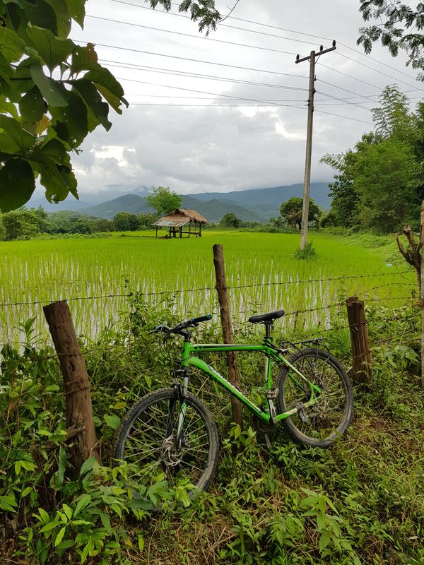 Kuang Si waterfall to Utopia bar