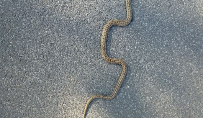 Photo 1 of the Bikemap route "Morning Glory round Mt Biskupia Kopa"