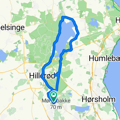 test rute